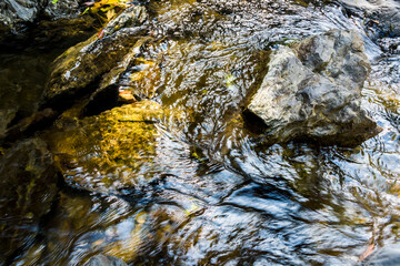 Creek or stream water flowing past rocks and stones