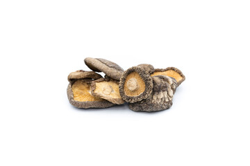 shitake