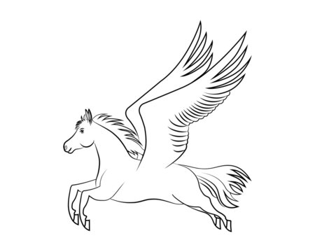 Line art vector drawing of smart white horse with flying wings or Pegasus