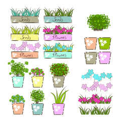garden, home plants set vector