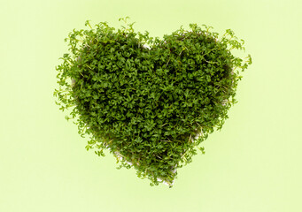 Creative layout made of sprout seed heart bowl. Flat lay, top view. Food ingredient pattern.