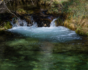 stream in the forest