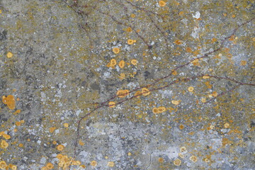Texture wallpaper