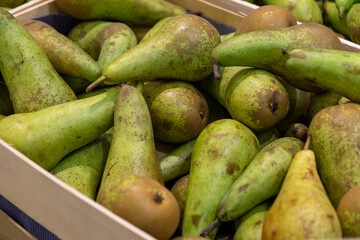 Green ripe pears in a wood box.