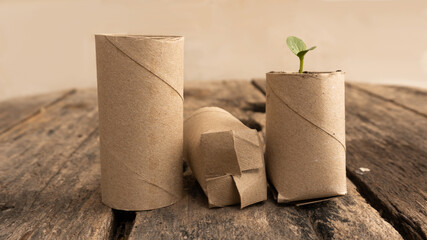 Recycling, reuse of cardboard from toilet paper tubes. Pot for seed sprouting. Toilet paper....