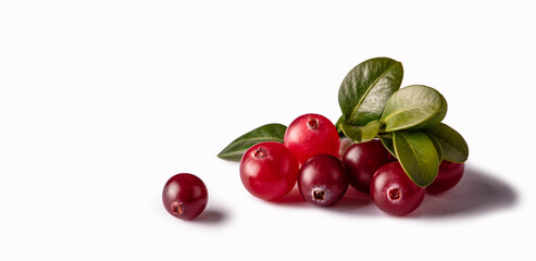 cranberry isolated on white background. macro photo. fresh berry