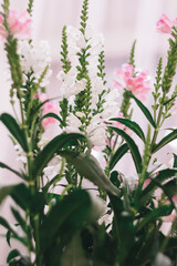 Beautiful bouquet of white and pink flowers at home