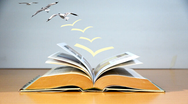 Open book with Bird flying from it, Paper Pages Change to birds fly into the future with greyish blue color background, education background.