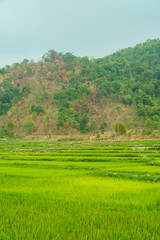 Fototapeta na wymiar Scenic view of the rice terraces in Gia Lai province, Vietnam
