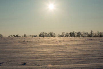 Scenery. Snow covered agricultural field at sunset