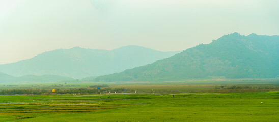 Green rice field with mountains background under blue sky