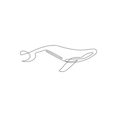 Whale line continuous outline vector logo