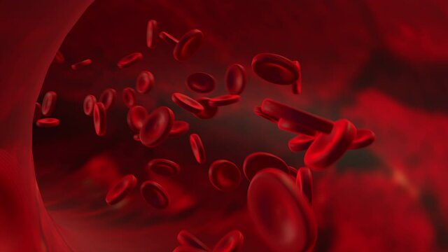 Realistic animation. red blood cells in an artery, flow inside body, medical human health-care.Red blood cells. Blood elements.3d rendering red blood cells.
