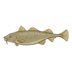Cartoon Cod Fish Vector Illustration.