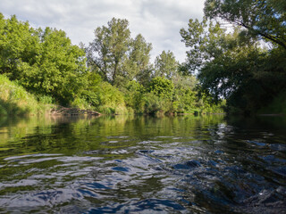 Fototapeta na wymiar Landscape with river with rapids and flat surface with reflection, banks overgrown with greenery, riparian zone full of grass and trees during sunny summer day, natural ecosystem