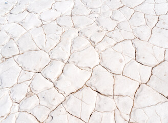 Argentina, District of San Luis. at the salt Lake Lago del Bebedero the salt crust is very hard.