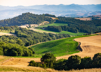 Rolling hills, golden meadow and green landscape in Tuscany, Italy