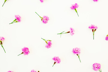 Obraz premium Floral composition with pink flowers on white background. Flat lay