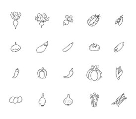 Vegetables. Outline icons set. Simple vector illustration, eps