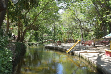 Paisaje, balneario, rio agua, arboles naturaleza hojas verdes 