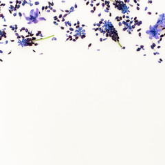 Frame with blue flowers and petals on white background. Flat lay