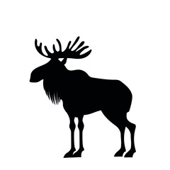 Obraz premium elch_s