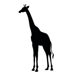 giraffe_s