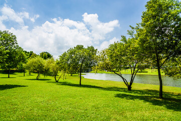 Fototapeta na wymiar Beautiful lakeside landscape in the Tainan Metropolitan Park in Taiwan. is a free open outdoor public space.