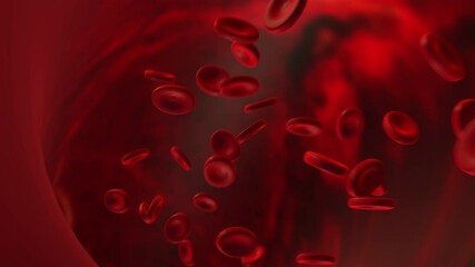 Realistic animation. red blood cells in an artery, flow inside body, medical human health-care.Red blood cells. Blood elements.3d rendering red blood cells. - Powered by Adobe