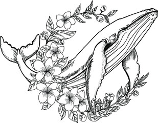 hand drawn Whale with Sakura flower.Cherry blossom in circle with big fish design for tattoo.Whale tattoo for women isolate on white.
