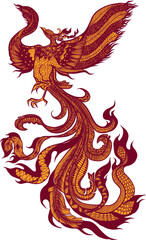 hand drawn colorful Phoenix tattoo,Fire bird isolate on white background,Japanese and Chinese style,Art of Phoenix Physiology.Fire bird graphic design.