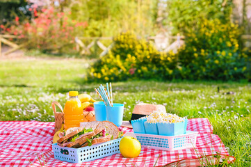 Lunch in the park on the green grass. Summer sunny day and picnic basket. Popcorn and sandwiches...