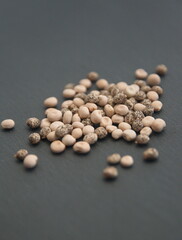 Lupinus perennis, Lupinus angustifolius, lupine beans,  seeds of Ornamental lupins, legume family Fabaceae