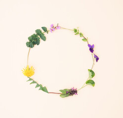 A wreath of spring flowers, dandelion and violet on light yellow background. Spring copy space flat lay.