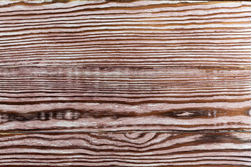Structure of white-brown background from a tree by close up.