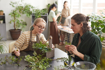 Portrait of young man creating flower compositions in florist workshop class, copy space