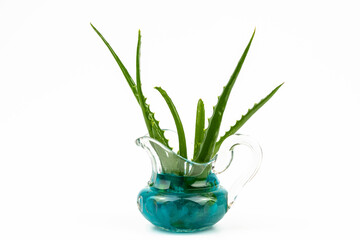 Leaves aloe, curative mask in a glass jug isolated on a white background.