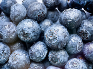 Fresh blueberries background top view.  Macro texture of blueberry berries with water drops.