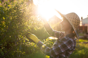 Side view of focused young caucasian woman gardener cuts unnecessary branches and leaves from tree...
