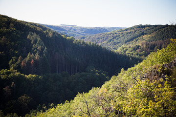 Blick von oben auf bewaldete Hügel