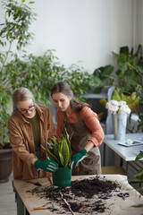 Vertical portrait of two young female florists potting plants while working in flower shop or gardening together, copy space