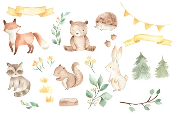 Fotobehang Woodland animals watercolor illustration baby bear fox squirrel bunny  © Bianca