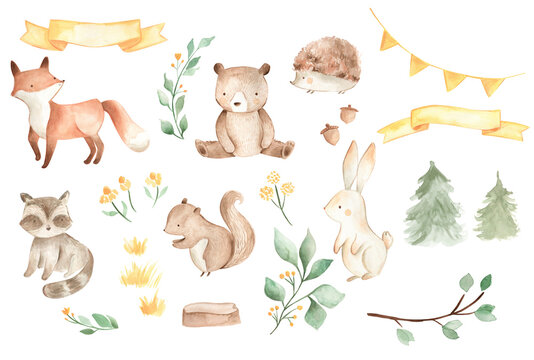 Woodland animals watercolor illustration baby bear fox squirrel bunny 