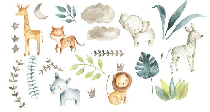 Safari animals watercolor illustration baby nursery 