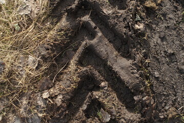 tractor tracks on the ground 