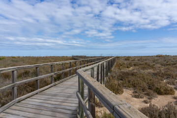 Fototapeta na wymiar wooden boardwalk leading through coastal marshlands and sand dunes