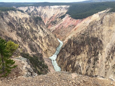 yellowstone