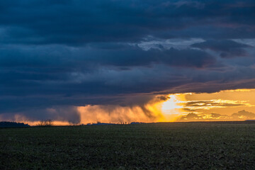 Sonnenuntergang und Baum mit vielen Misteln