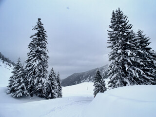 Obraz premium Winterwanderung 