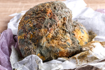 Mold growing on a loaf of bread.blue and pink mold on bread close-up
